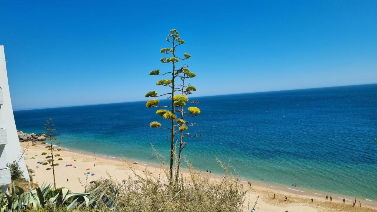 Sesimbra Sun&Sea - Beachfront Apartment! Екстериор снимка